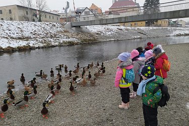 Obrázek č.57